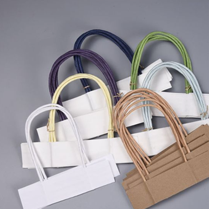 dp post paper bags 10