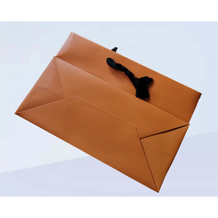 dp post paper bags 6 1